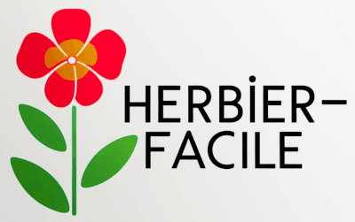 Herbier icone Herbier icone